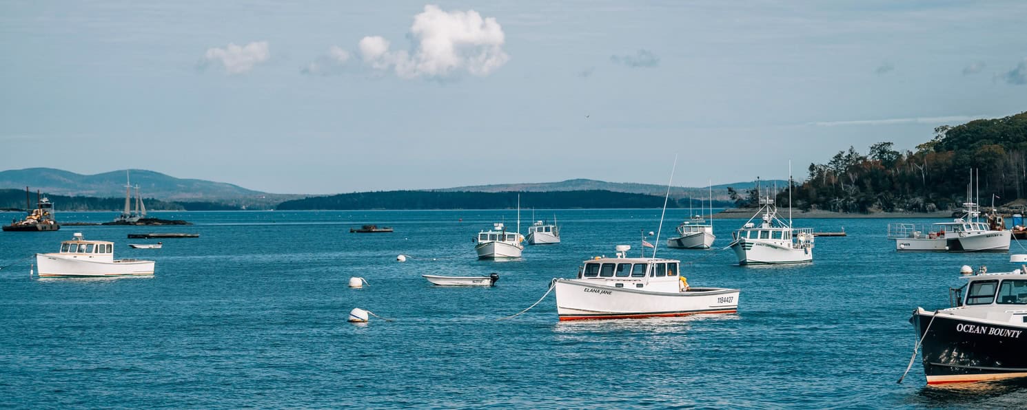 Boats anchored in a calm harbor with a scenic ocean view and distant hills.