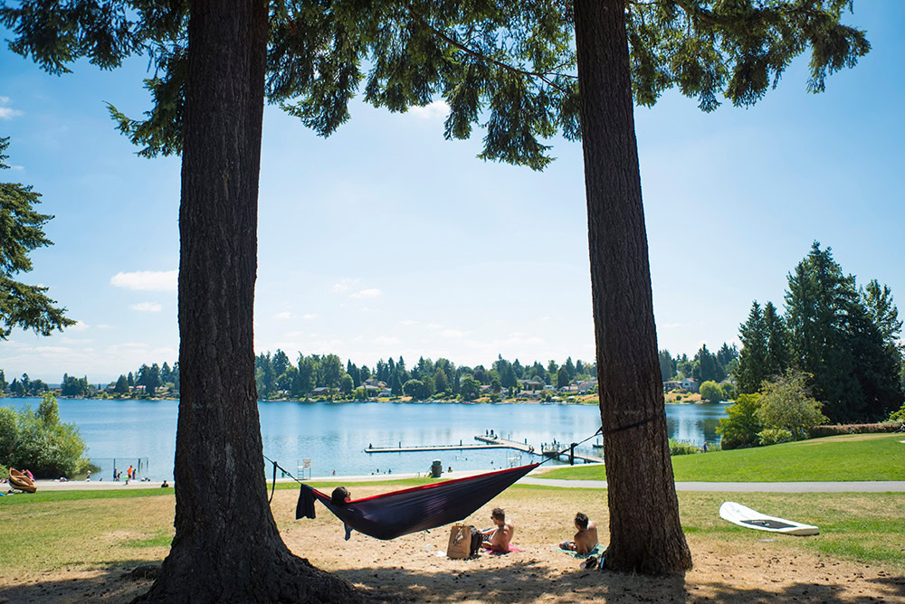 Angel Park, SeaTac, Washington