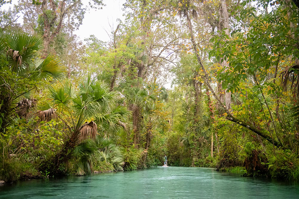 Orlando, Florida
