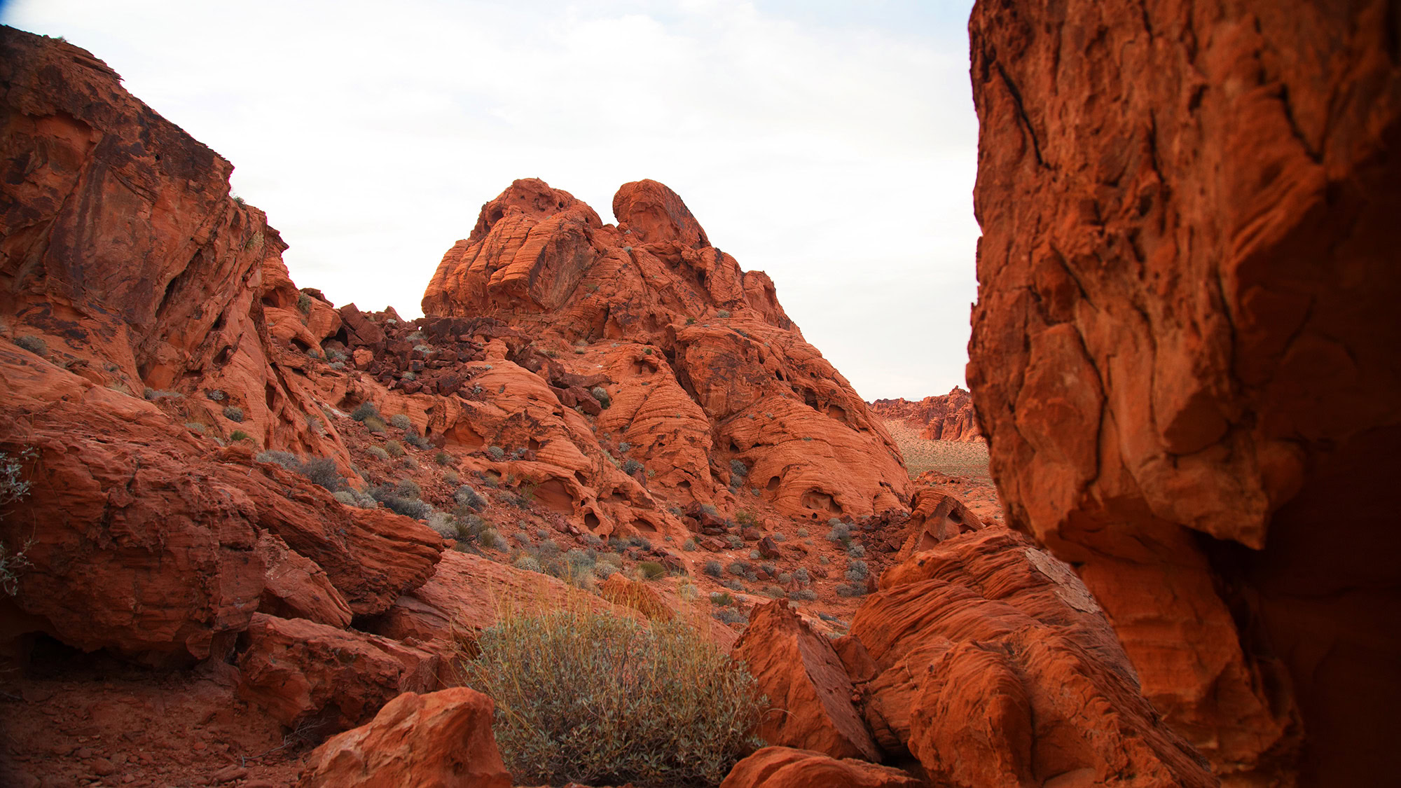 Nevada