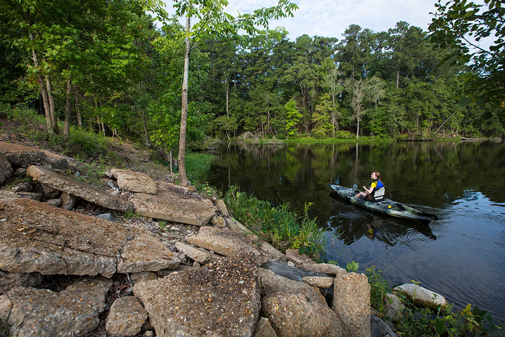 Kisatchie National Forest, Alexandria, Louisiana