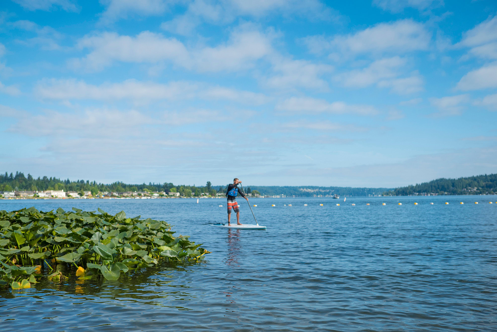 Lake Sammish State Park, Issaquah, Washington