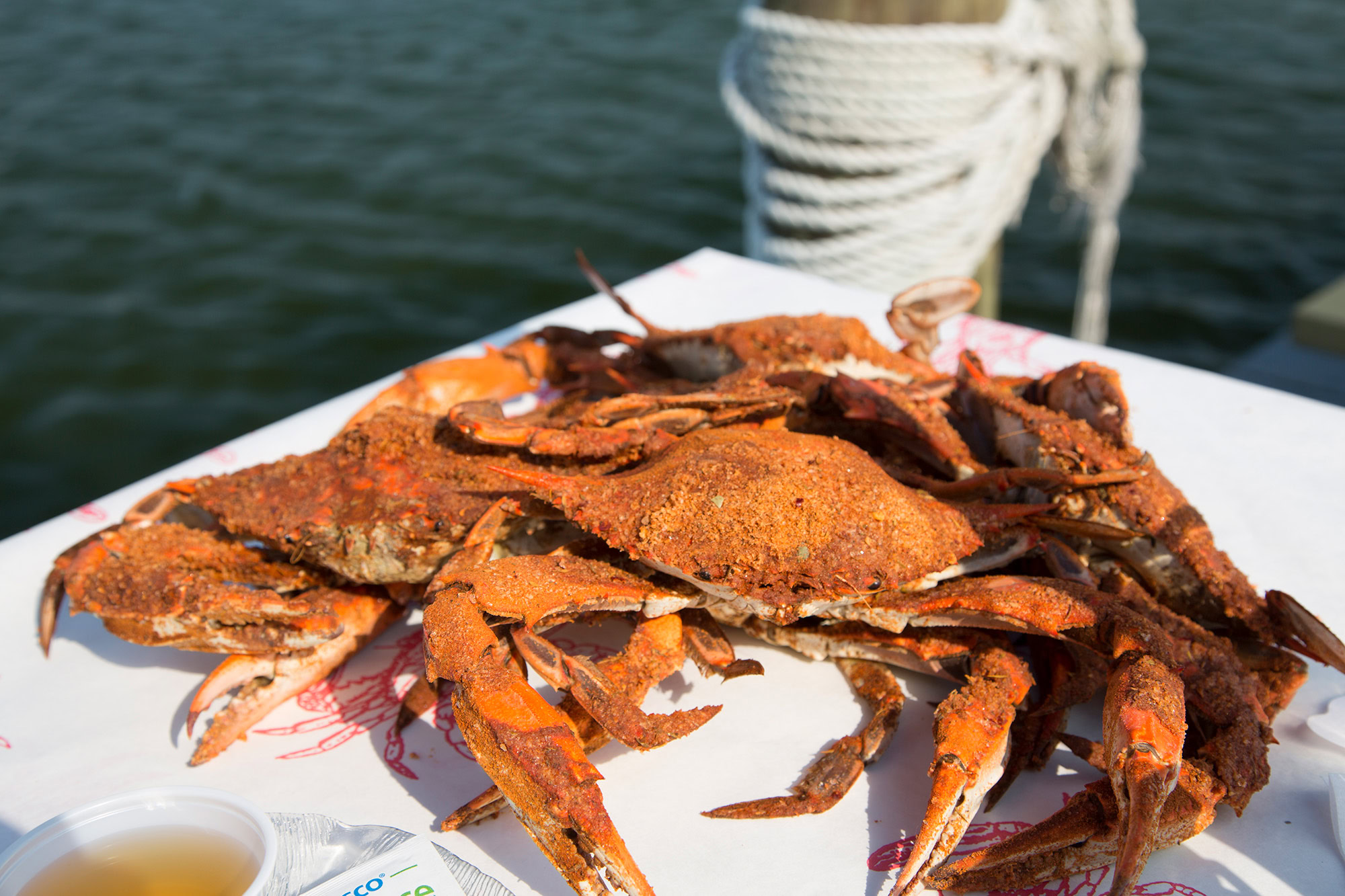 Chesapeake Bay, Maryland