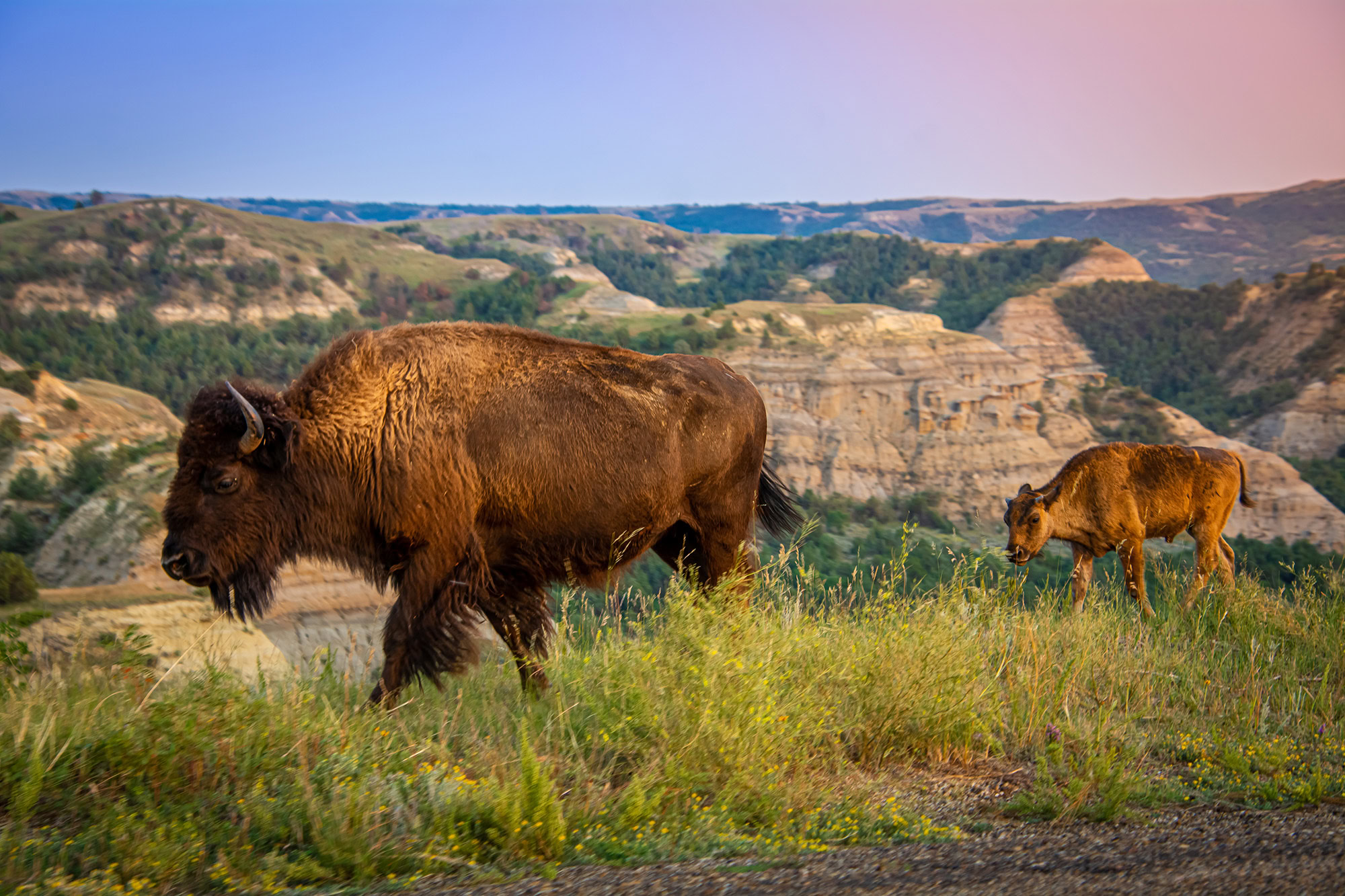 North Dakota