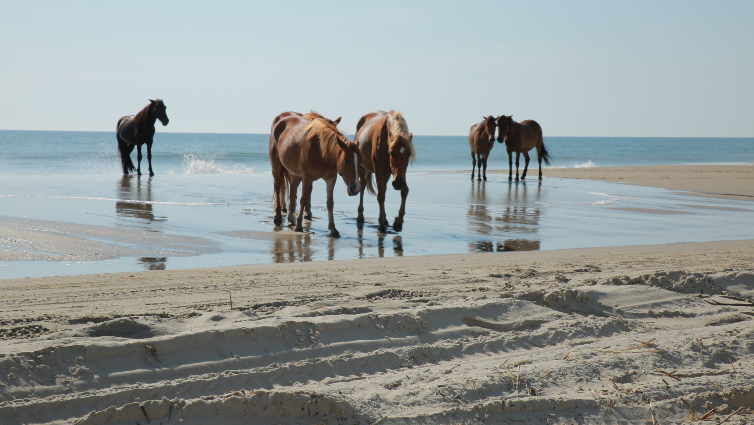 Currituck, North Carolina