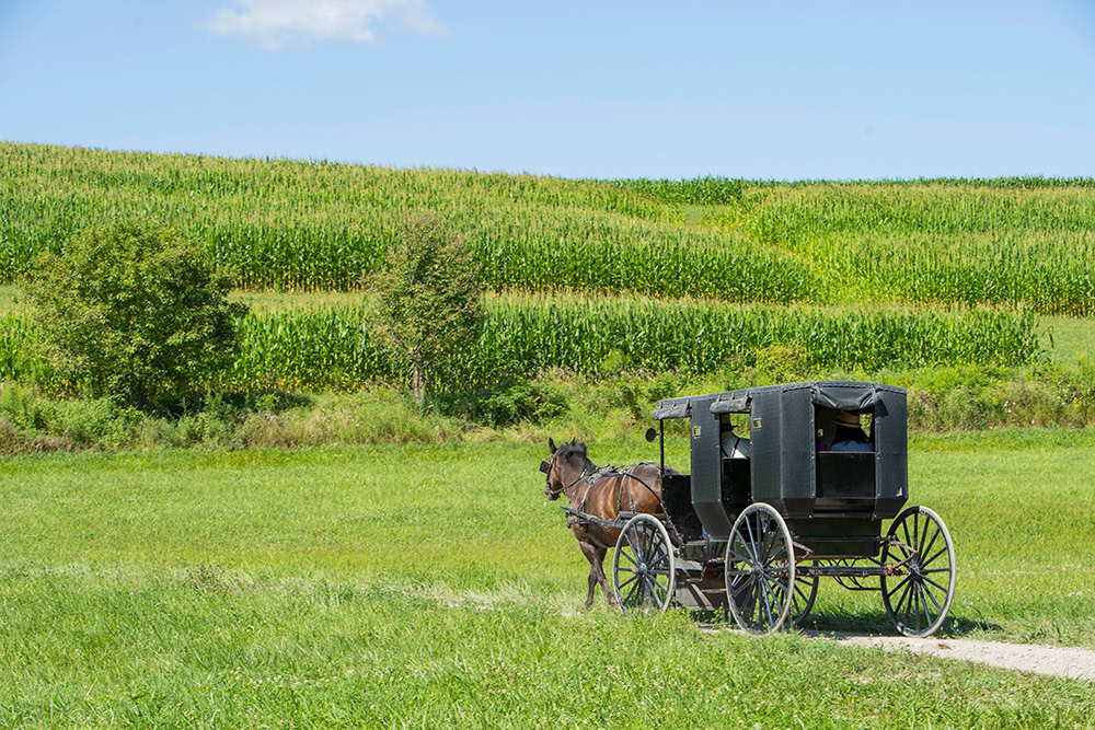 Yoders Amish Home, Millersburg, Ohio
